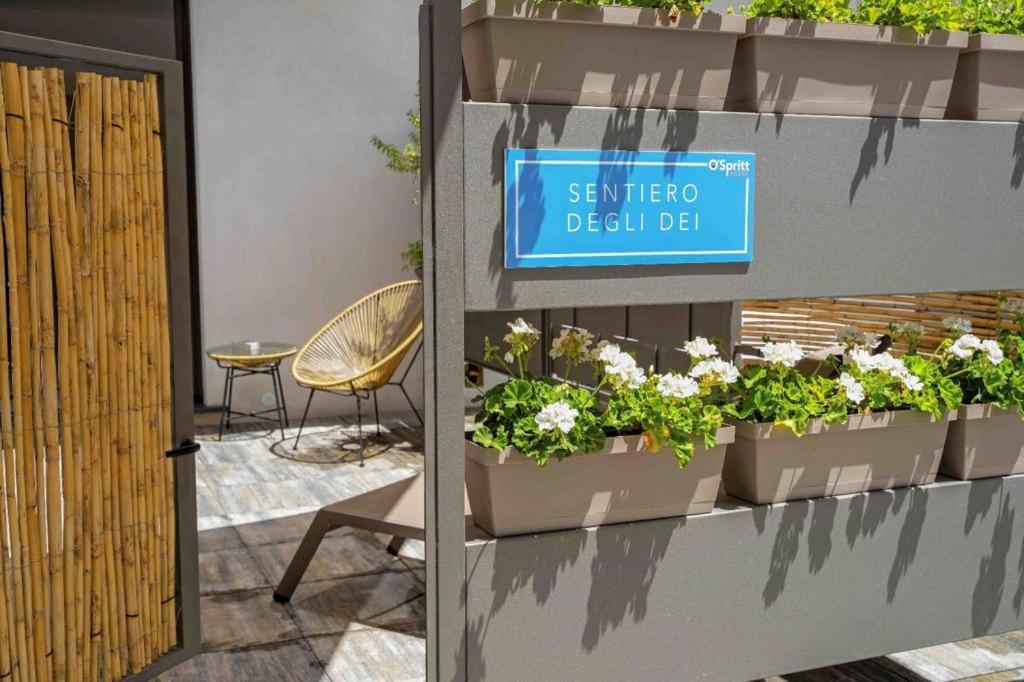 Ospritthouse Apartment Agerola Exterior photo